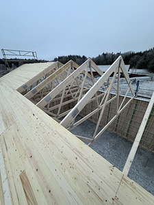 Tööjõudu on vaja Rootsi (1 foto / 1)