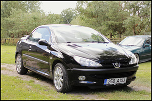 Peugeot 206cc 1.6 80kw (12 фото из 13)