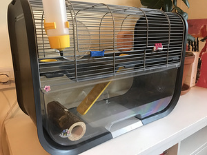 Puur hamstrile (näriline) / Cage for a hamster (näriline) (3 foto / 5)