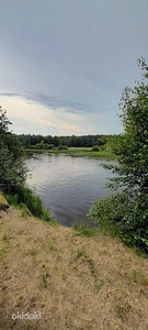 Puhkus majas Peipsi ääres kalameestele ja seenelistele (2 foto / 6)