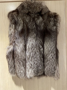 Arktiline rebane vest. (2 foto / 4)