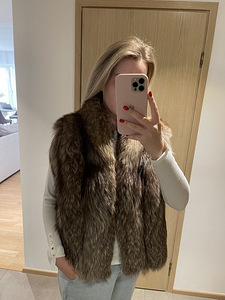 Arktiline rebane vest. (4 foto / 4)