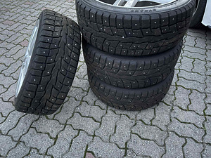 Veljed naastrehvidega DYNAMO (2 foto / 7)