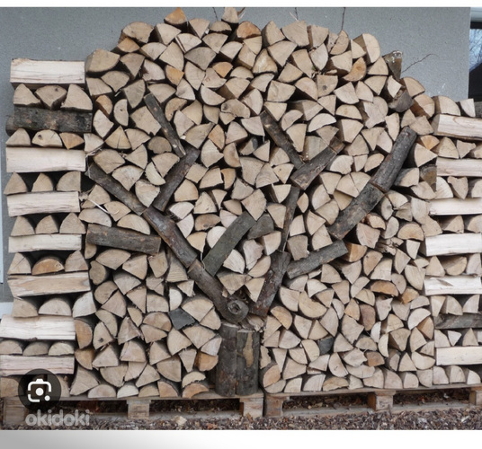 Сухие дрова (фото #1)