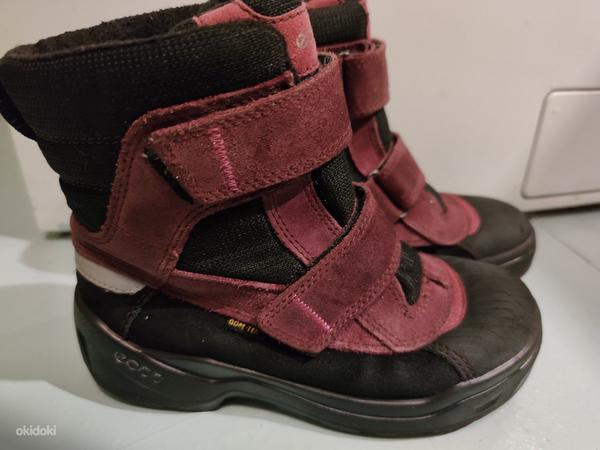 Зимние ботинки ecco coretex, 32 - 33 (фото #1)