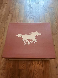 Mustang uued meeste talvesaapad, 45 (3 foto / 9)