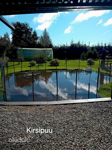 Kirsipuu tn 17, Tapa, Tapa vald, Lääne-Virumaa