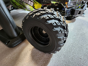 Raadioteel kaugjuhitav auto Monster Truck Vanguard (8 foto / 10)