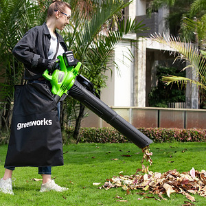 Greenworks lehepuhur/imur GD24X2BV 48v (1 foto / 7)