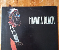 Havana Black "indian Warrior"