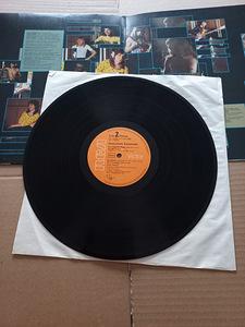 Sweet "Desolation boulevard" (2 foto / 4)