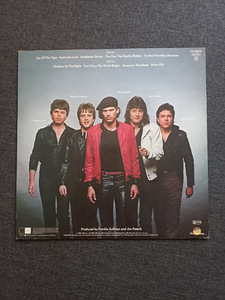 Survivor "Eye Of The Tiger" (4 foto / 4)