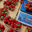 Maasika müüja Maasikamüüja (foto #1)