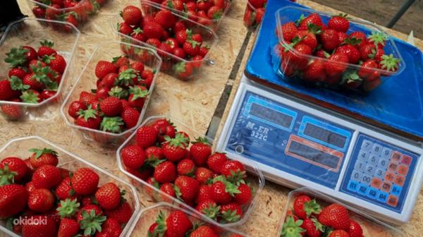 Maasika müüja Maasikamüüja (foto #1)