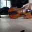 Viiul Stradivarius. (foto #2)
