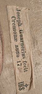 Viiul Josph Guarnerius 4/4