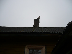 Müün maja (4 foto / 7)