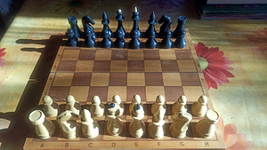 Шахматная игра (1 фото из 6)