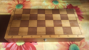 Шахматная игра (4 фото из 6)
