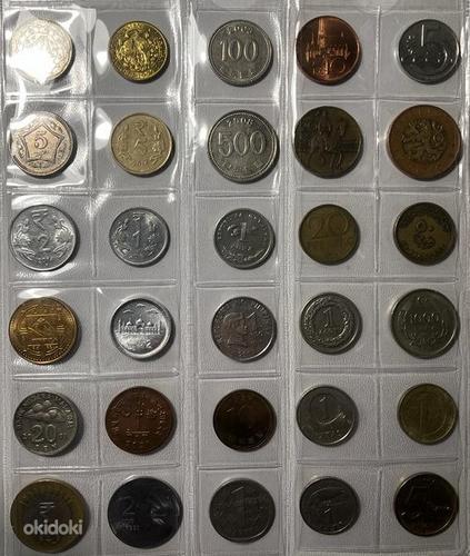 Коллекция монет (фото #8)