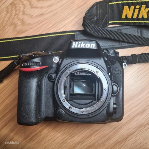 Nikon D7100 + Tamron AF VC 17-50 F2.8 Di II ø72 (фото #7)