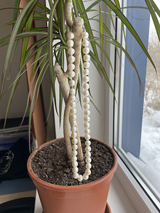 Mageveepärlite kee 45 cm (2 foto / 3)