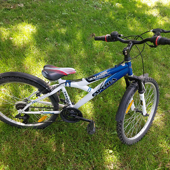 Jalgratas 24"