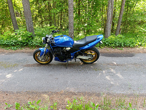 Suzuki bandit 1200 (4 foto / 4)