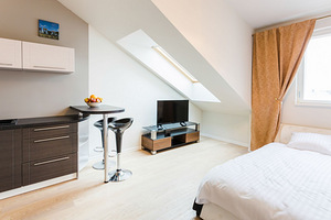 Külaliskorter, apartamendid, majutus, lühiajaliselt üürile (2 foto / 9)