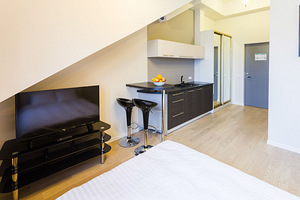 Külaliskorter, apartamendid, majutus, lühiajaliselt üürile (6 foto / 9)