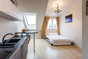 Külaliskorter, apartamendid, majutus, lühiajaliselt üürile (5 foto / 9)