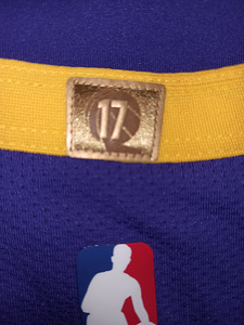 NBA Jordan Lebron James Los Angeles Lakers Authentic Jersey (7 foto / 10)