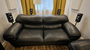 Nahkdiivanvoodi ja tugitool kastiga (2 foto / 9)