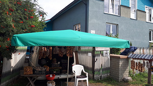 Репчатый лук (4 фото из 4)