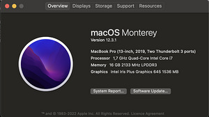 MacBook Pro (13-inch, 2019, 16GB/256GB/i7) (3 foto / 3)