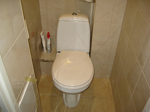 Vannitoa ja WC kabiini remont (10 foto / 10)