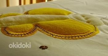 9 osaline voodipesukomplekt Liblikas (foto #5)