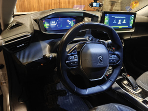 Peugeot 2008 (12 foto / 12)