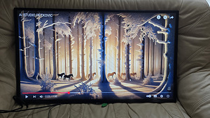 LG 43SE3KD 43" (1 foto / 5)