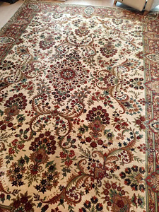 Pehme Pärsia Stiilis Vaip Carpet 345x250cm (4 foto / 7)
