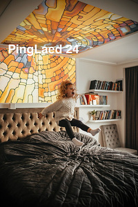 Pinglagede paigaldus ja LED valgustus (1 foto / 10)