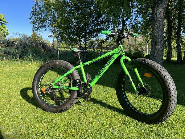 Велосипед BOTTECCHIA WILD BOY 24 ”толстый велосипед Tallinn