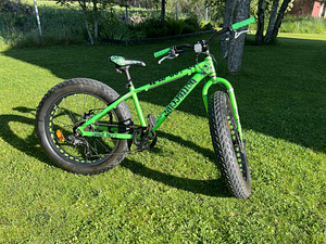 Велосипед BOTTECCHIA WILD BOY 24 ”толстый велосипед (2 фото из 9)