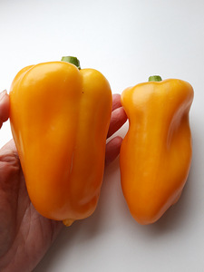 Paprika seemned 7 tk - APRIKOOSI LEMMIK (2 foto / 4)