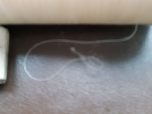 Suur niidirull (2 foto / 6)