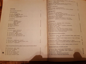 Noorustuli. Tallinna 46.Keskkooli almanahh. Raivo Järvi (7 foto / 8)
