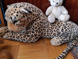 Karupoeg, leopard (6 foto / 8)