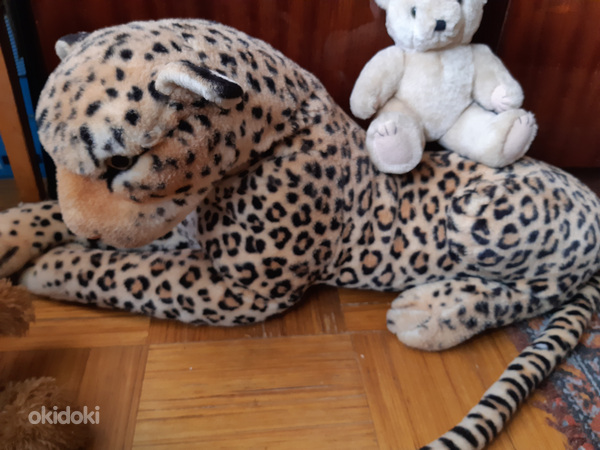 Karupoeg, leopard (foto #6)