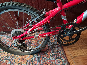 Classic 20`` jalgratas (3 foto / 8)