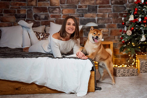 Shiba Inu kutsikad (6 foto / 10)